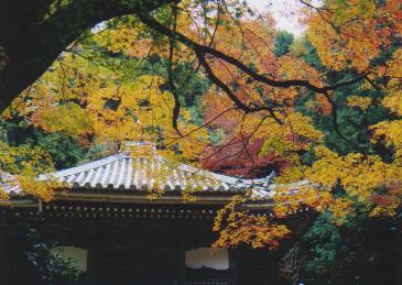 �������̍g�t